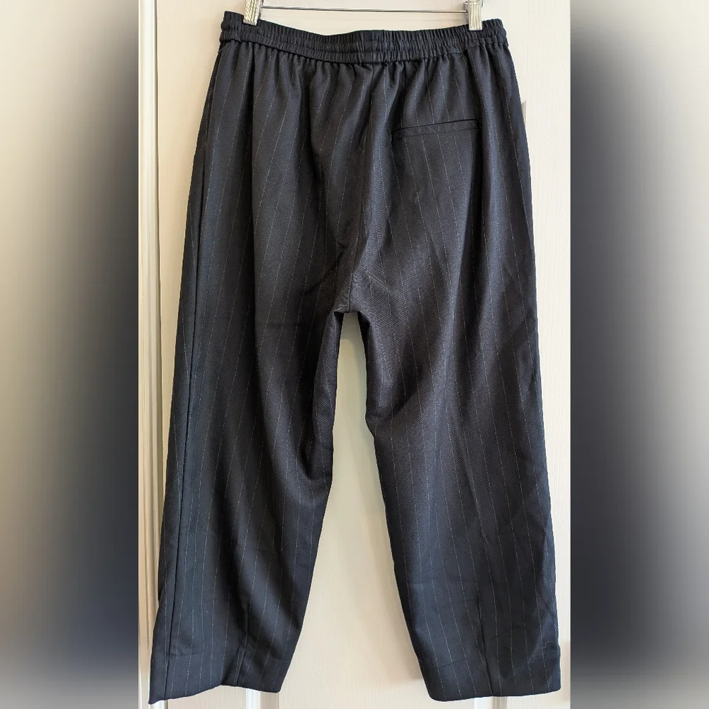 Free People Shakin All Over Pinstripe Cropped Pant Navy Blue Size‎ Academia S
